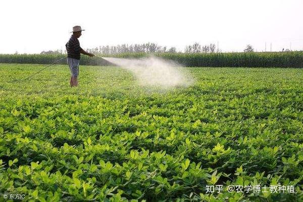 花生种植技术与管理视频_花生种植视频农广天地_花生种植技术视频播放