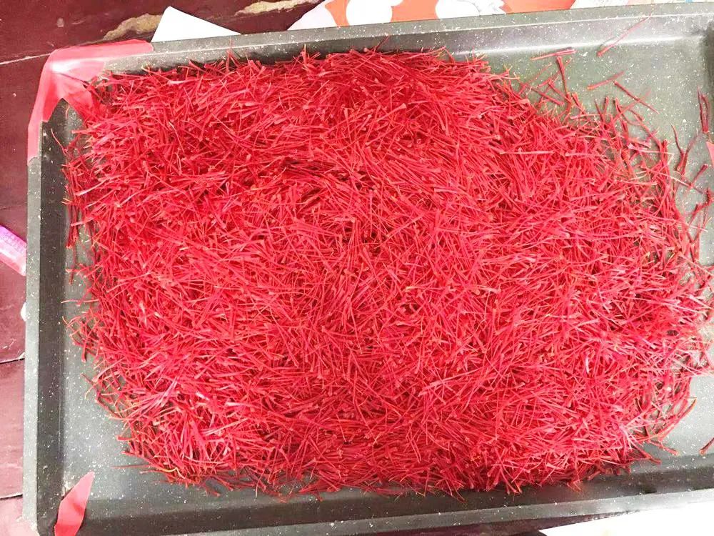 致富种植视频全集_致富种植什么比较赚大钱_靠种植致富了