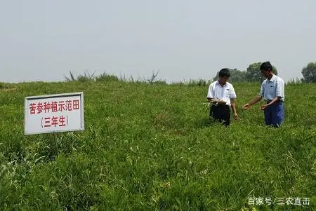 养殖冷门致富项目_致富养殖什么最赚钱_致富养殖冷门项目名称