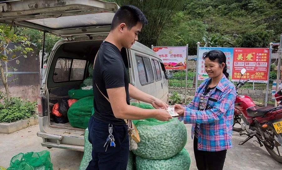 种植桑树技术要求_种植桑树技术视频_桑树怎么种植技术