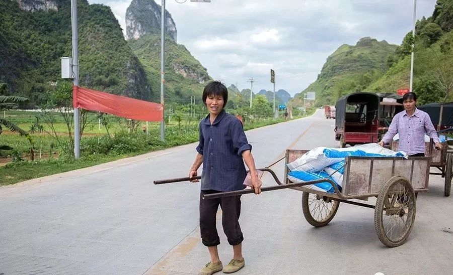 种植桑树技术要求_种植桑树技术视频_桑树怎么种植技术