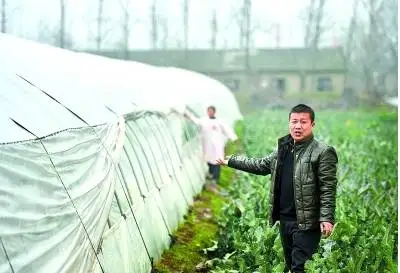 家庭农场种养致富成功案例分享