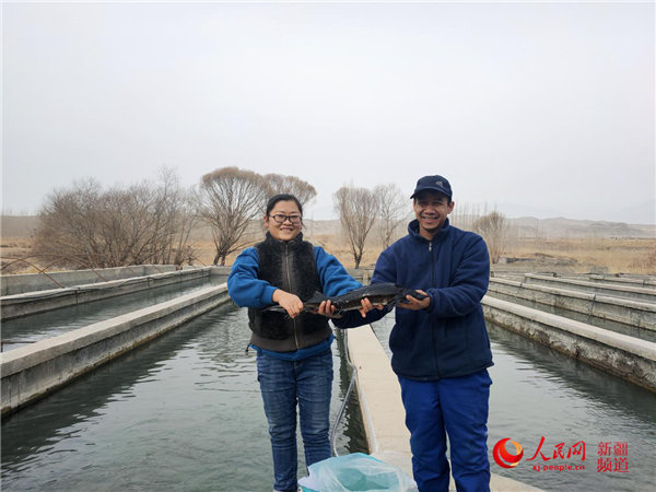 致富经冷水鱼养殖_致富冷水养殖鱼有哪些_家庭养殖冷水鱼