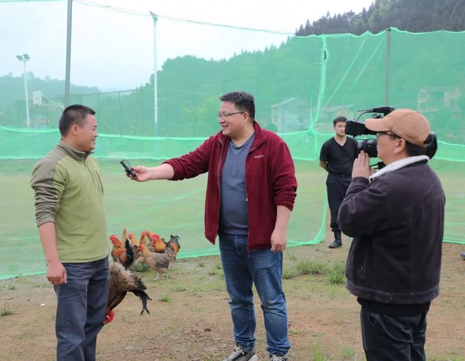 电视剧致富_致富经播出时间_致富播出时间最新