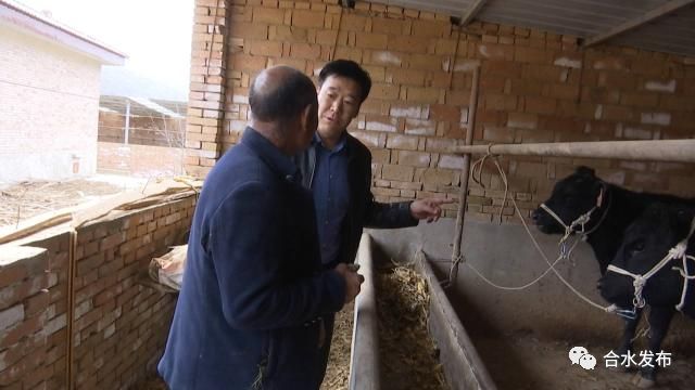 湖北农村养殖什么赚钱_湖北女子养殖致富_湖北农村养殖好项目