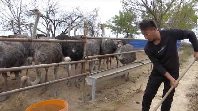 致富养殖网_养殖致富经视频_女子养殖致富之路