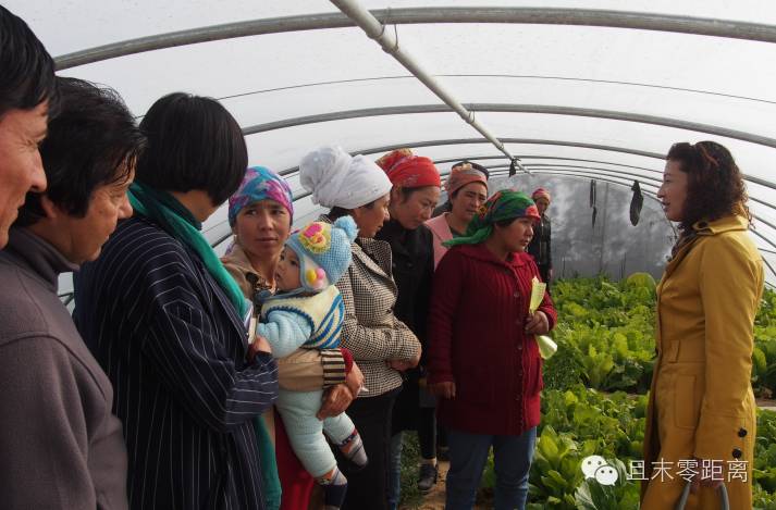 吉林种植致富_吉林种植基地_吉林乡村致富卡