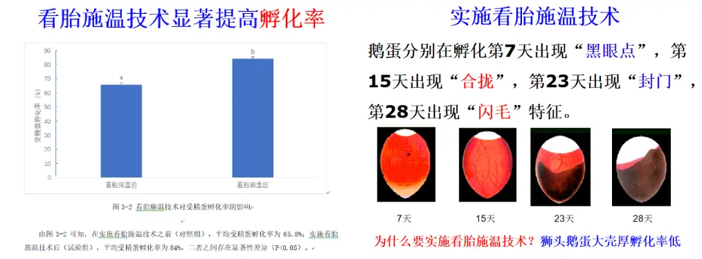 防盗养殖技术新闻报道_农村养殖怎么防盗_养殖场防盗新技术