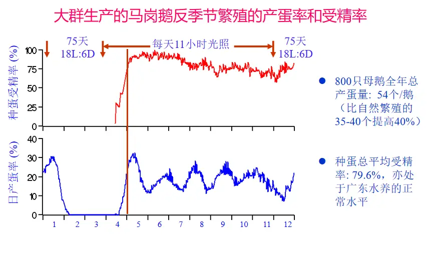 防盗养殖技术新闻报道_农村养殖怎么防盗_养殖场防盗新技术