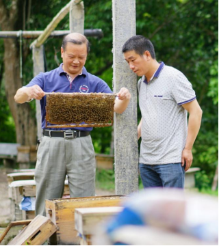 大棚樱桃种植成功致富案例_村民种植黑皮冬瓜致富_泰顺种植致富果