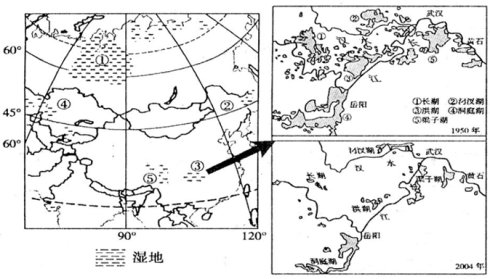 四川蔬菜大棚种植技术_四川大棚蔬菜种植技术培训班_蔬菜大棚种植四川技术指导