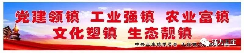 致富种植寒葱视频_寒葱种植每亩地效益_寒葱种植致富