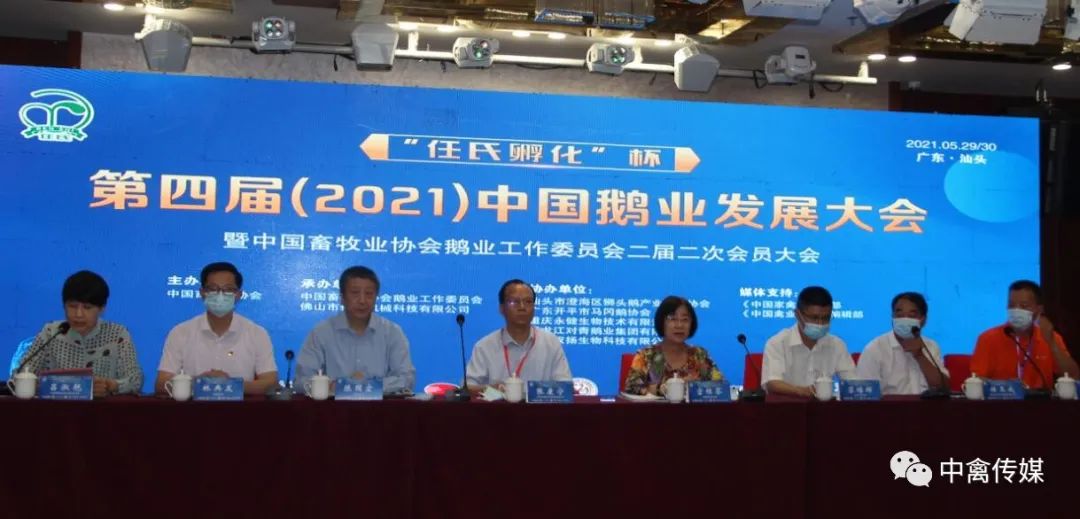 反季节种鹅养殖技术_种鹅反季节繁殖光照_反季节鹅的技术指导