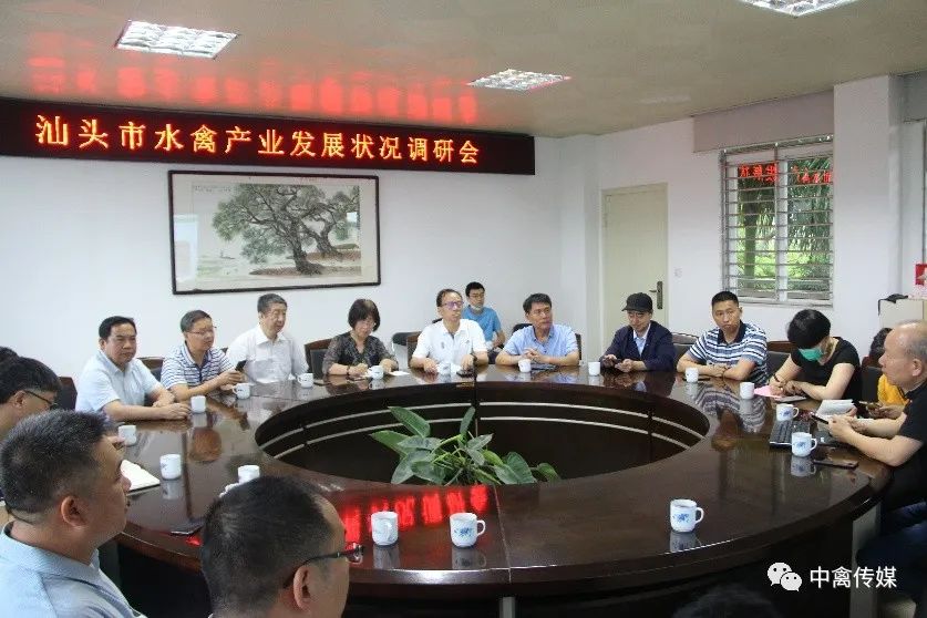 反季节种鹅养殖技术_种鹅反季节繁殖光照_反季节鹅的技术指导