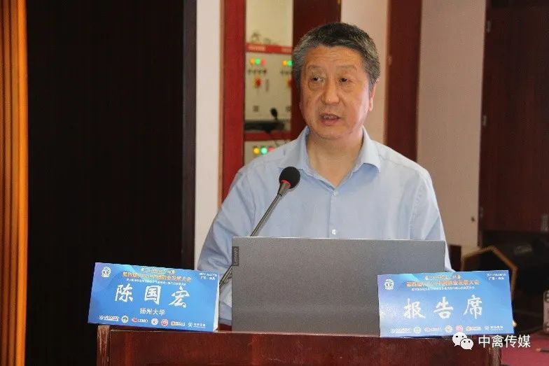 种鹅反季节繁殖光照_反季节鹅的技术指导_反季节种鹅养殖技术