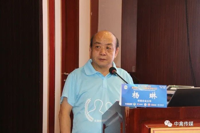 反季节鹅的技术指导_反季节种鹅养殖技术_种鹅反季节繁殖光照