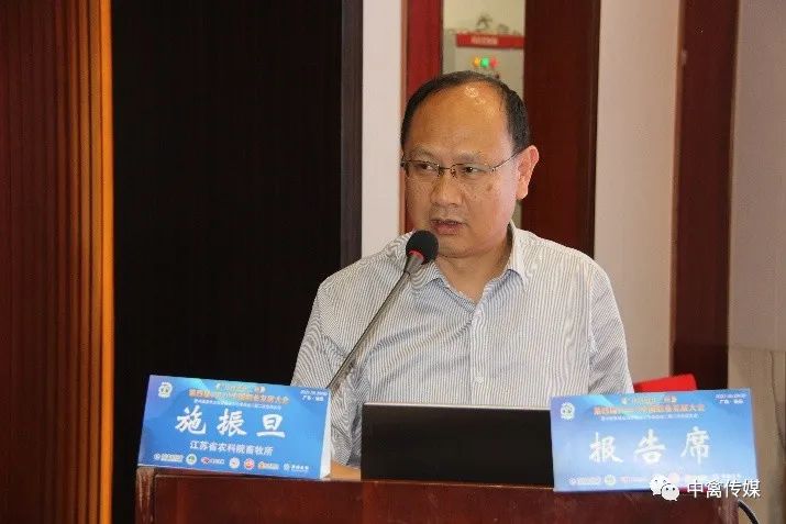 反季节种鹅养殖技术_种鹅反季节繁殖光照_反季节鹅的技术指导