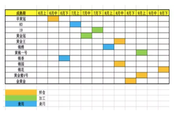 致富经种桃_2017年致富经种植桃子_致富经樱桃