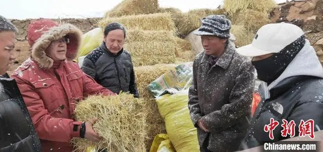 农村草地养殖致富_养殖草场_草坪养殖基地