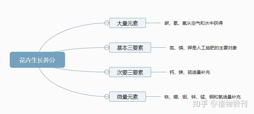 花生施肥种植管理技术要点_花生施肥及种植管理技术_花生的施肥原则是什么