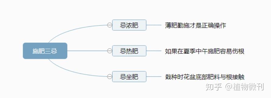 花生施肥及种植管理技术_花生的施肥原则是什么_花生施肥种植管理技术要点