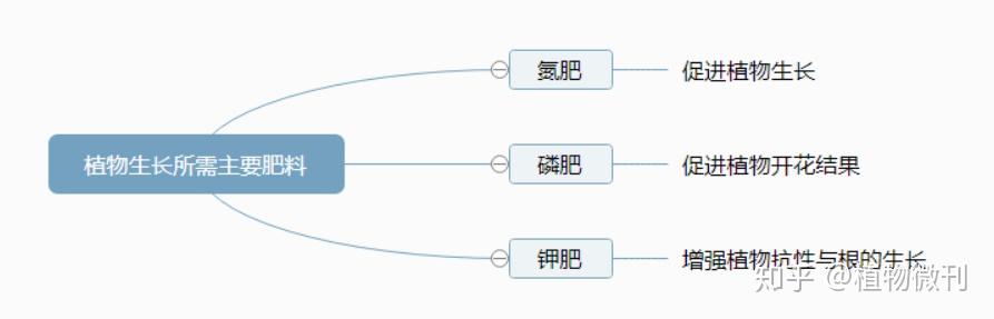 花生施肥种植管理技术要点_花生的施肥原则是什么_花生施肥及种植管理技术