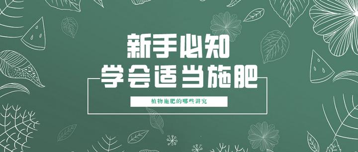 花生施肥种植管理技术视频_花生施肥种植管理技术要点_花生施肥及种植管理技术