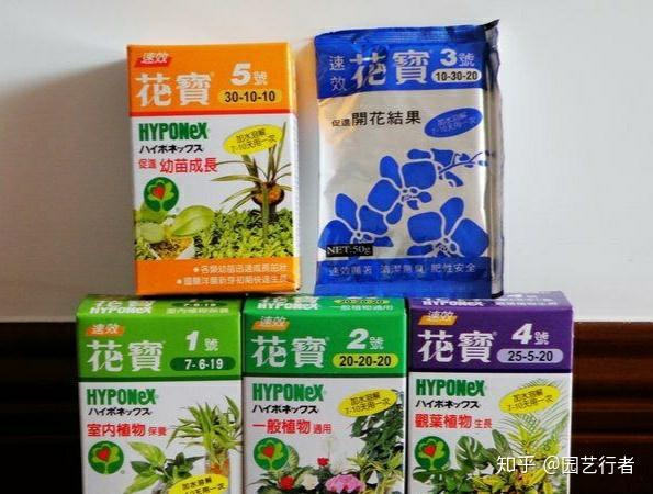 花生施肥种植管理技术规程_花生施肥及种植管理技术_花生施肥技术与管理