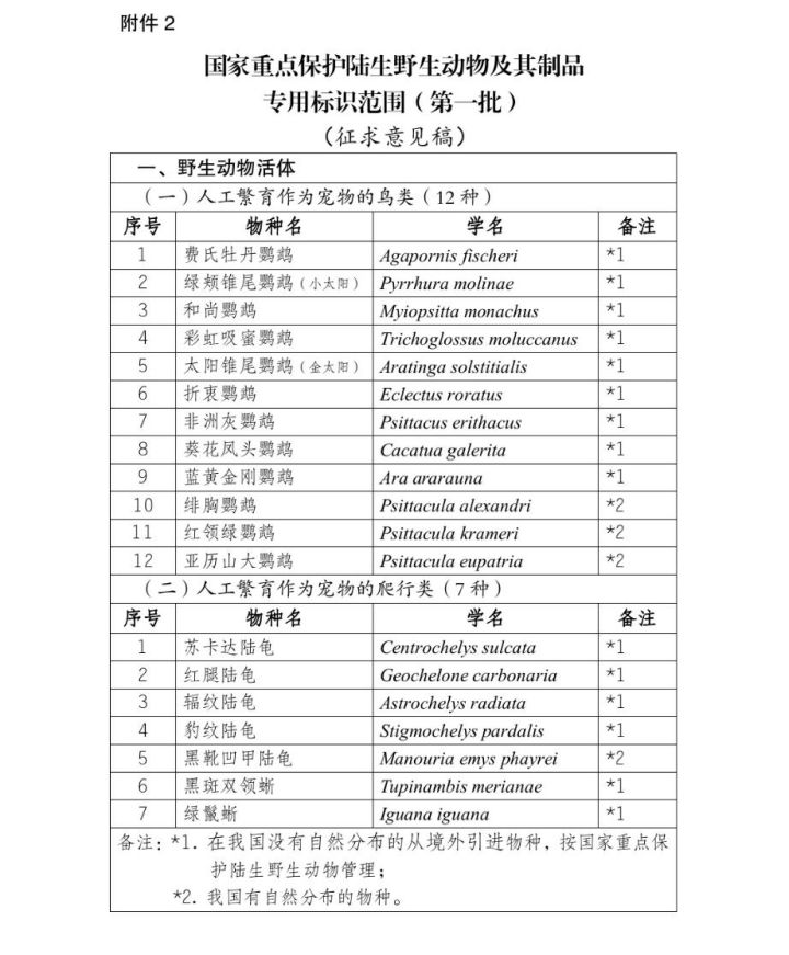 养殖白燕致富_养殖鸸鹋致富_庵醇养殖致富新闻