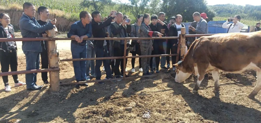 河北大叔发明的粪便处理设备_大型粪便处理设备视频_致富经粪便处理视频