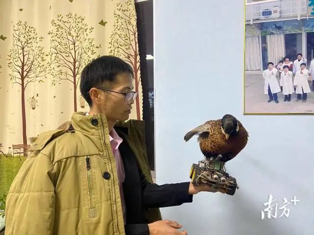 致富经养藏香猪视频全集_致富养猪场是真的吗_2017致富经养香猪