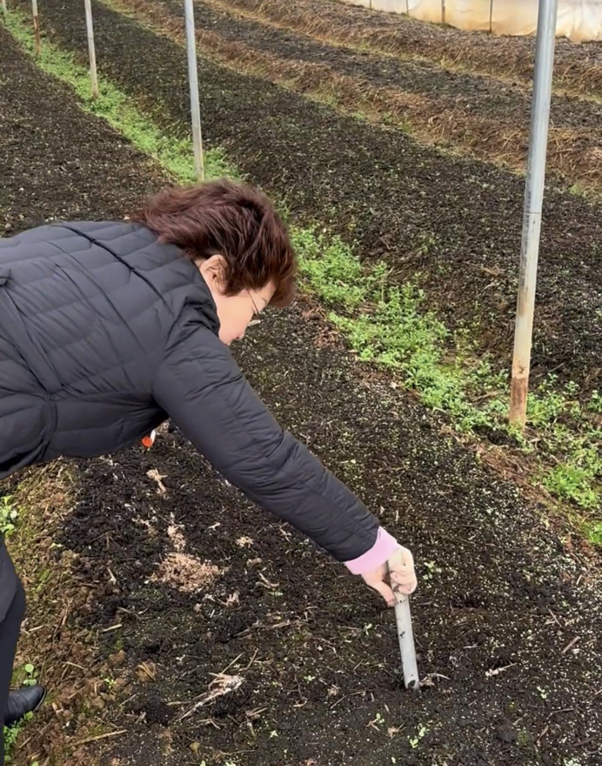 种蘑菇遇难题，湖北宜昌95后小伙发视频求助，没想到当地农科院专家真来了