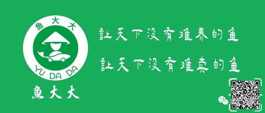 鲈鱼养殖技术——新手必学！（干货收藏）