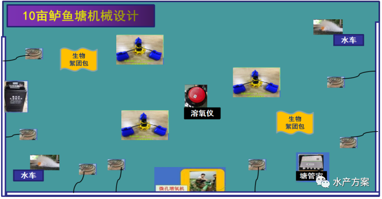 鲈鱼鱼塘养殖技术_池塘养鲈鱼技术视频_养殖鱼塘鲈鱼技术视频