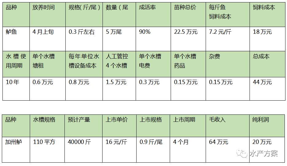 养殖塘鲈鱼怎么钓_鲈鱼鱼塘养殖技术_养殖鱼塘鲈鱼技术视频