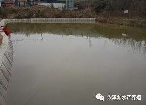 养殖鱼塘鲈鱼技术视频_养殖塘鲈鱼怎么钓_鲈鱼鱼塘养殖技术