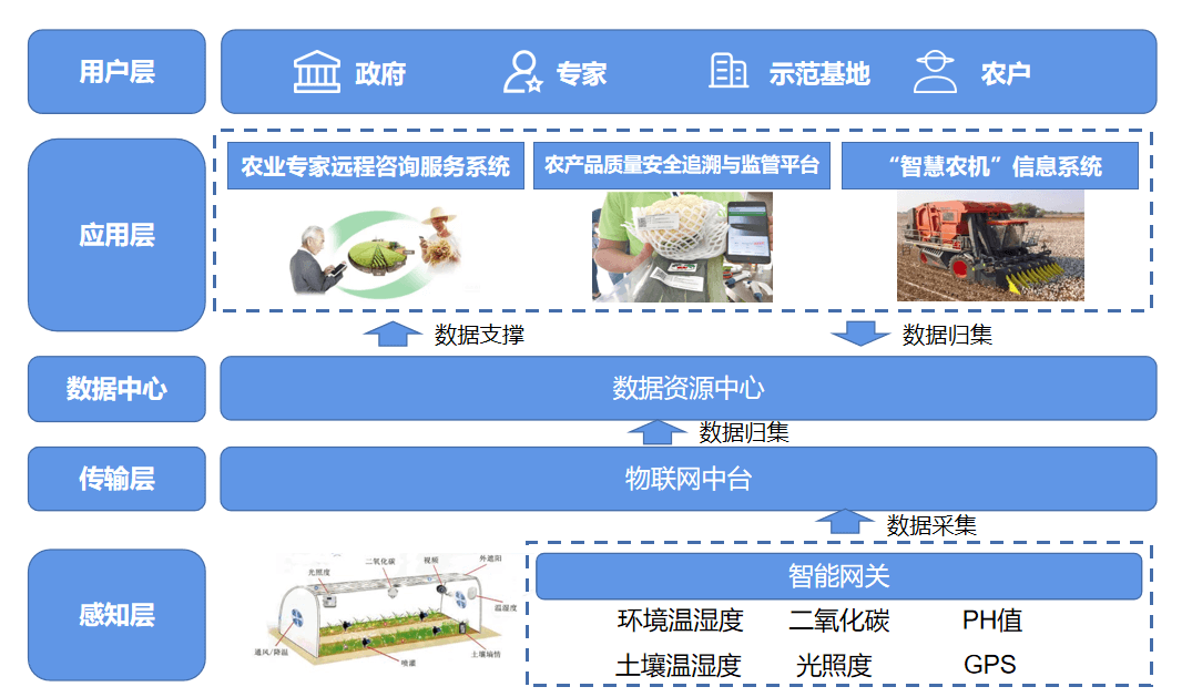 中药材大棚_大棚药材种植技术_大棚药材种植项目