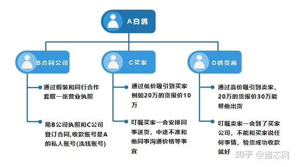 视频致富养殖白鸽是真的吗_致富经白鸽养殖视频_视频致富养殖白鸽