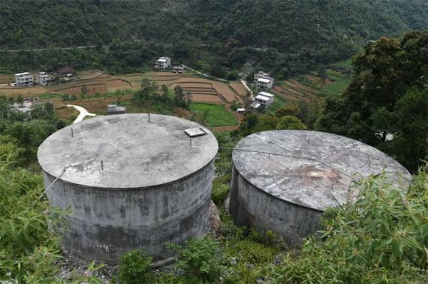 养殖致富案例_养殖致富路有哪些项目_致富之路养殖业事例分析