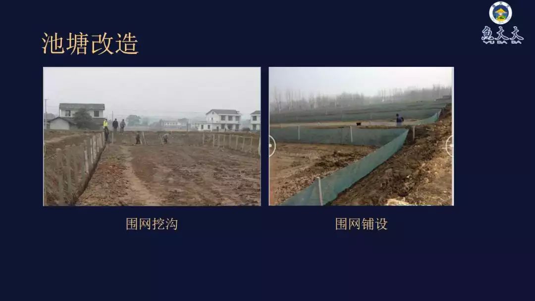 致富养殖泥鳅加盟模式怎么样_加盟泥鳅养殖致富模式_致富经泥鳅养殖