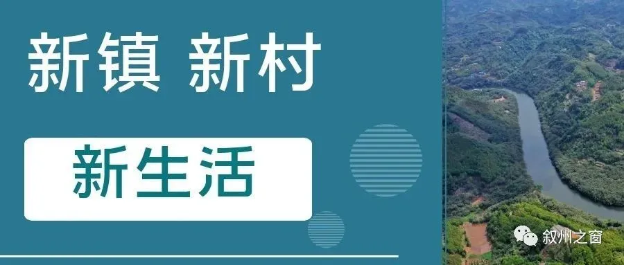 【关注农民工返乡创业】李家胜的养兔致富“路”