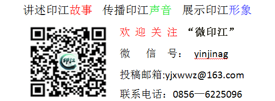 种植食用菌技术大全_农业种植致富技术食用菌_致富种植农业食用菌技术规范