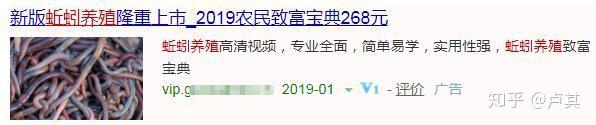 农业科技养殖蚯蚓视频_丘蚯蚓养殖技术视频_2019蚯蚓养殖技术视频播放