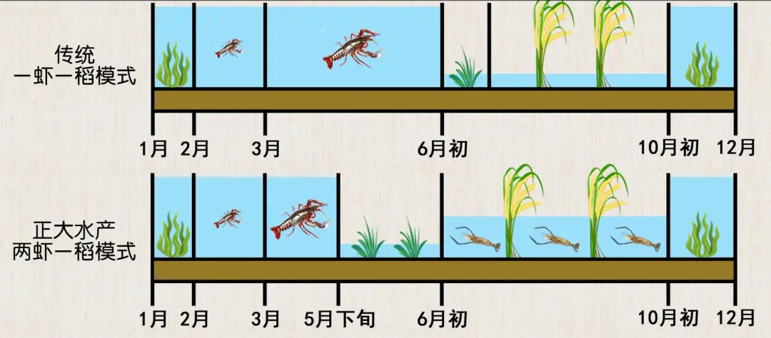 黄颡鱼水花养殖技术要点_水花鱼苗养殖视频_黄颡鱼水花养殖技术