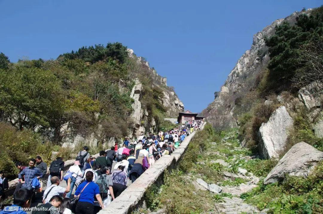 致富经养鸭子视频_鸭子养殖致富经视频_视频致富鸭子养殖