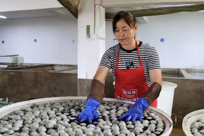 鸭子养殖致富经视频_致富经养鸭子视频_致富经鸭子养殖视频