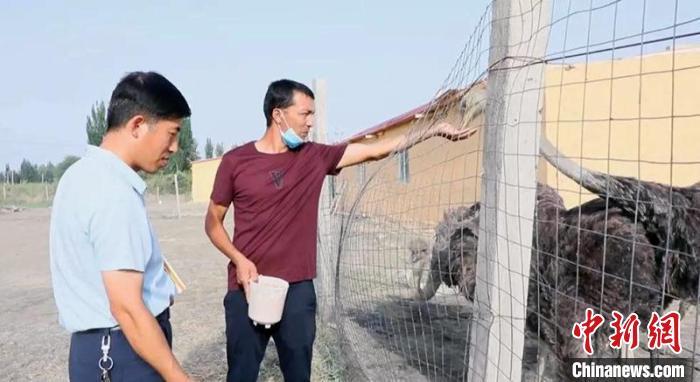 致富经养鸭子视频_鸭子养殖致富经视频_鸭子养殖场视频