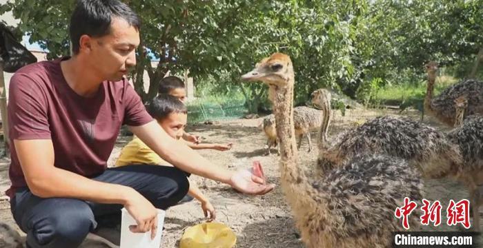 鸭子养殖场视频_致富经养鸭子视频_鸭子养殖致富经视频