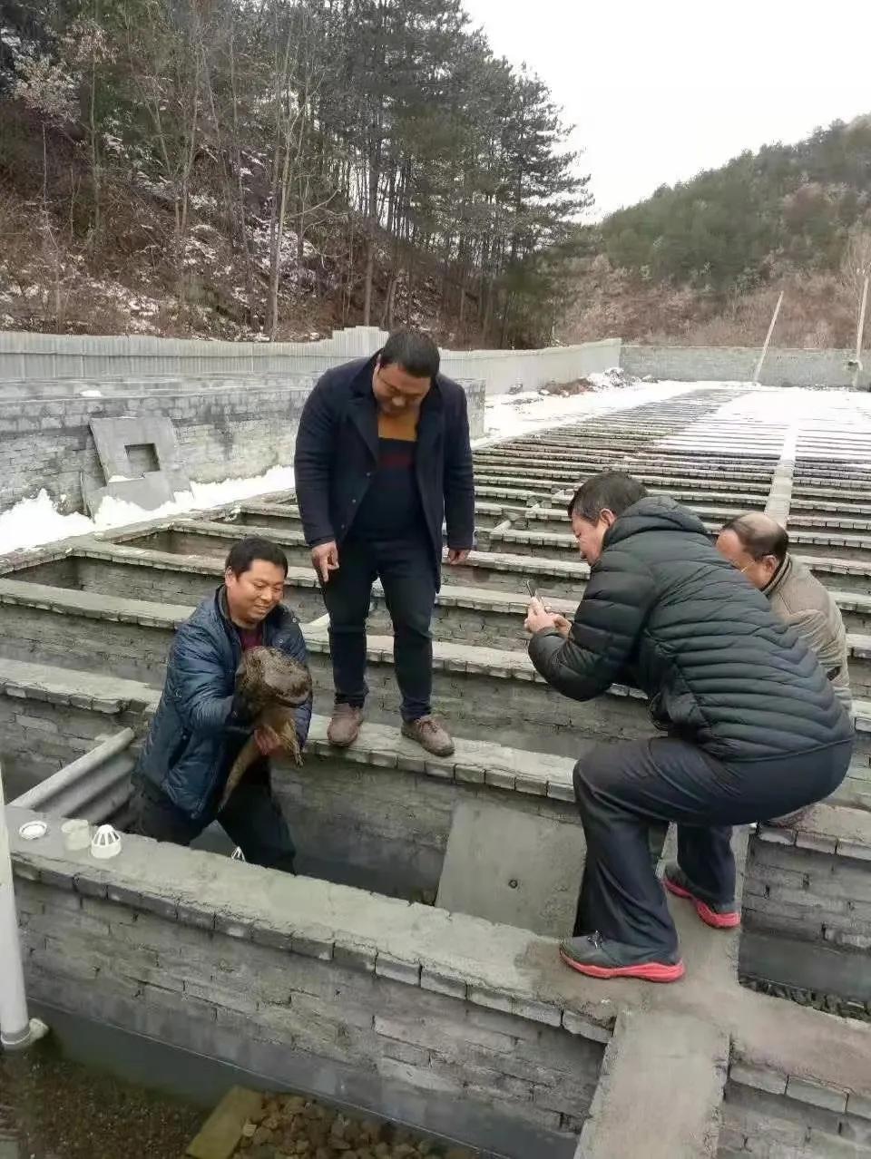 面食娃娃鱼的制作方法_致富经娃娃鱼面条_面娃娃鱼的一碗卖多少钱