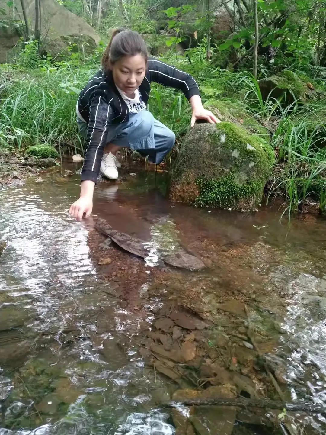 面食娃娃鱼的制作方法_面娃娃鱼的一碗卖多少钱_致富经娃娃鱼面条